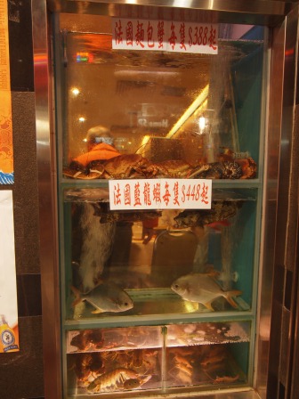 1352617701-3577411687 HK-越華會 灣仔巷內的避風塘美食
