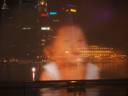 1353586050-388659039 Singapore-Marina Bay Sands金沙雷射燈光音樂水舞秀 一整個驚喜滿滿的Wonder Full