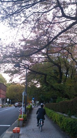 1355411098-547356530 Tokyo-東京大學 好讓人景仰的名字