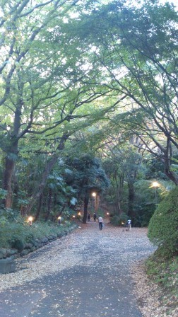 1355411168-3387963696 Tokyo-東京大學 好讓人景仰的名字