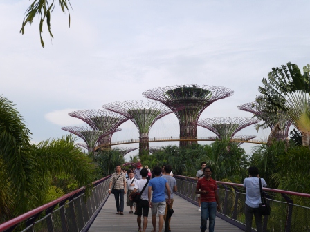 1358437435-3895173168 Singapore-Gardens By the Bay濱海灣植物園
