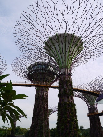 1358437436-3697030432 Singapore-Gardens By the Bay濱海灣植物園