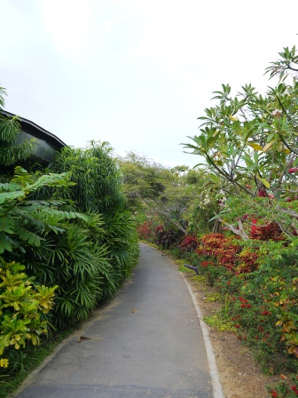 1358437437-3398979519 Singapore-Gardens By the Bay濱海灣植物園