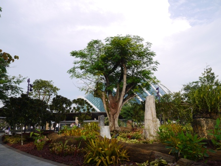 1358437438-3247841769 Singapore-Gardens By the Bay濱海灣植物園
