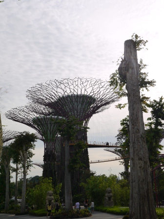 1358437438-3270727655 Singapore-Gardens By the Bay濱海灣植物園