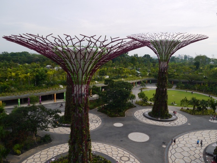 1358437439-3300186460 Singapore-Gardens By the Bay濱海灣植物園
