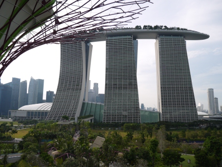1358437442-3536351961 Singapore-Gardens By the Bay濱海灣植物園