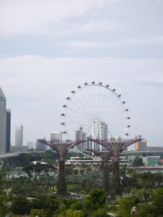 1358437442-4225014664 Singapore-Gardens By the Bay濱海灣植物園