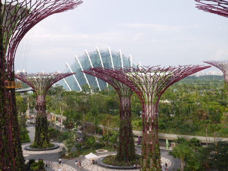 1358437445-2562902155 Singapore-Gardens By the Bay濱海灣植物園