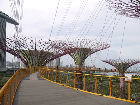 1358437446-358085160 Singapore-Gardens By the Bay濱海灣植物園