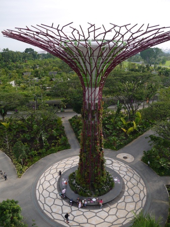 1358437447-2173818512 Singapore-Gardens By the Bay濱海灣植物園