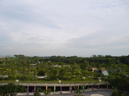 1358437449-1833515251 Singapore-Gardens By the Bay濱海灣植物園