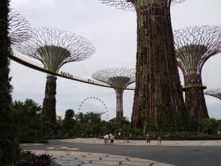 1358437449-3729722567 Singapore-Gardens By the Bay濱海灣植物園