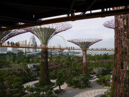 1358437449-3969101410 Singapore-Gardens By the Bay濱海灣植物園