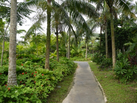 1358437451-169157964 Singapore-Gardens By the Bay濱海灣植物園