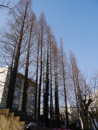 1358520005-3945908808 Shanghai-交通大學 五校一家的交大