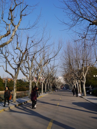 1358520008-352961848 Shanghai-交通大學 五校一家的交大