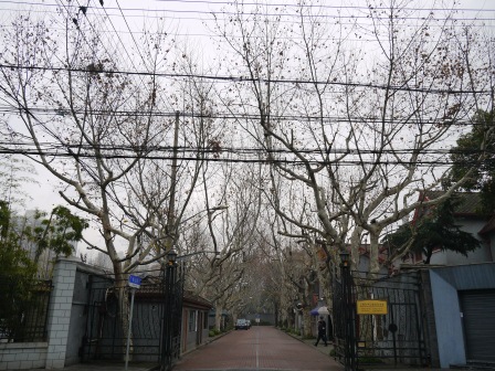 1358954411-3011637176 Shanghai-思南公館 豪宅旁的小區