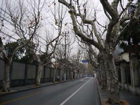 1358954411-580152527 Shanghai-思南公館 豪宅旁的小區