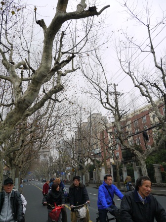 1358954412-3220002750 Shanghai-思南公館 豪宅旁的小區