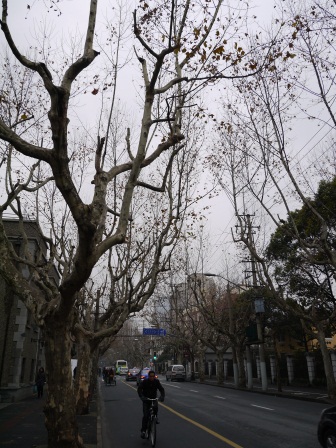 1358954429-724570658 Shanghai-思南公館 豪宅旁的小區