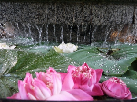 1363100330-568824400 Bangkok-Mandarin Oriental曼谷東方文華酒店之住不起之看看而已