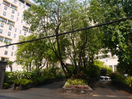 1363100343-3894480006 Bangkok-Mandarin Oriental曼谷東方文華酒店之住不起之看看而已
