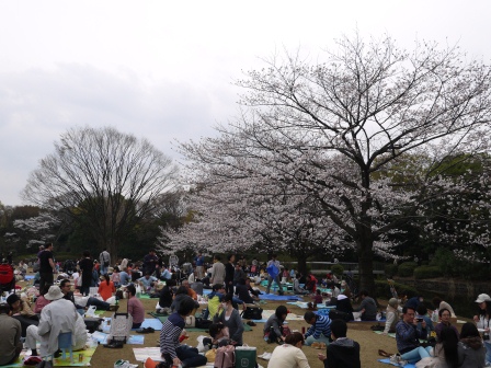 1364265323-4248286963 Kudanshita-千鳥ケ淵緑道櫻花祭 給學子最美麗的祝福(2013お花見之二)