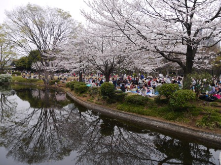 1364265323-840843418 Kudanshita-千鳥ケ淵緑道櫻花祭 給學子最美麗的祝福(2013お花見之二)