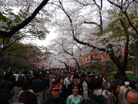1364566749-2513333030 Ueno-沉醉在上野公園 滿開的櫻花繽紛 無法計畫的祭典(2013お花見之三)