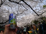 1364566752-3681258248 Ueno-沉醉在上野公園 滿開的櫻花繽紛 無法計畫的祭典(2013お花見之三)