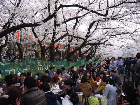 1364566773-1044338195 Ueno-沉醉在上野公園 滿開的櫻花繽紛 無法計畫的祭典(2013お花見之三)
