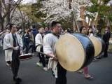 1364566801-246298770 Ueno-沉醉在上野公園 滿開的櫻花繽紛 無法計畫的祭典(2013お花見之三)