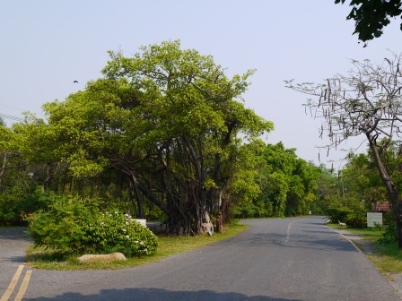 1364626771-938064509 Bangkok-一次看完泰國歷史Ancient Siam古城