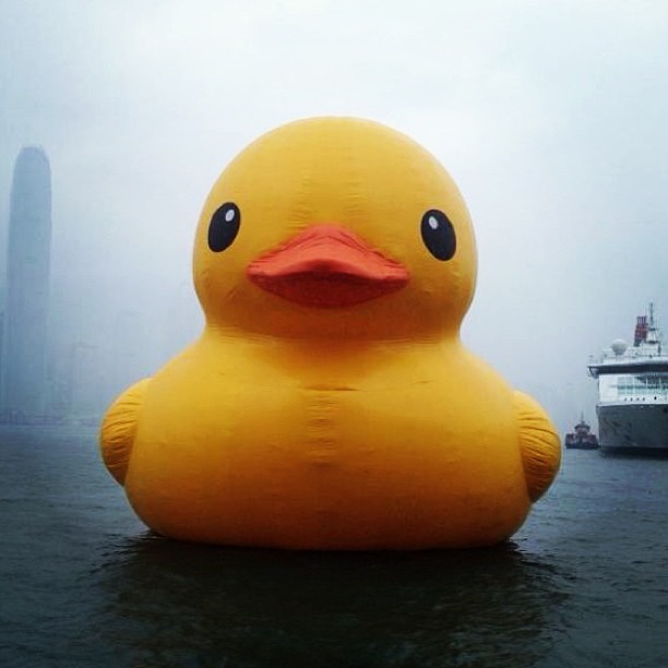 1368855101-252890946 HK-Rubber Duck還我黃色小鴨來!!!!!