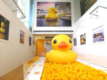 1368855101-2796042078 HK-Rubber Duck還我黃色小鴨來!!!!!