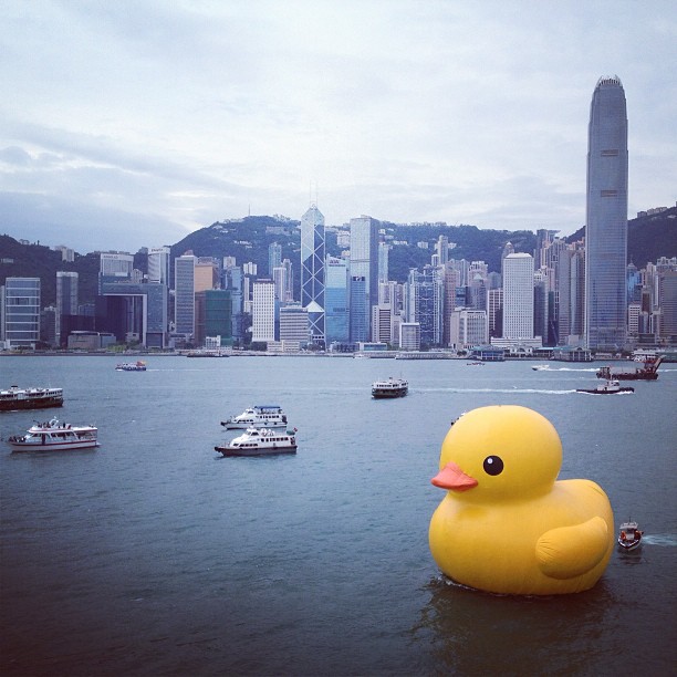 1368855101-4123109159 HK-Rubber Duck還我黃色小鴨來!!!!!