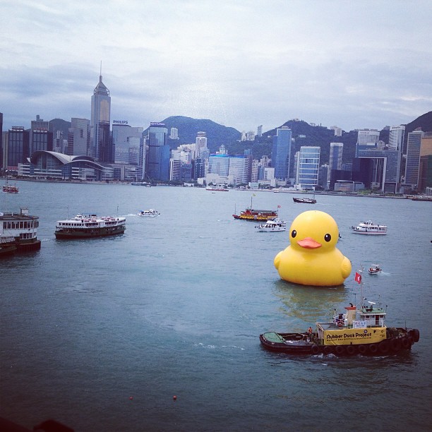1368855102-1230207825 HK-Rubber Duck還我黃色小鴨來!!!!!