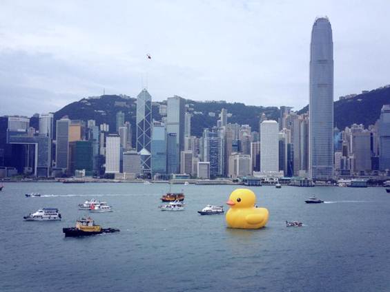 1368855102-2755497174 HK-Rubber Duck還我黃色小鴨來!!!!!