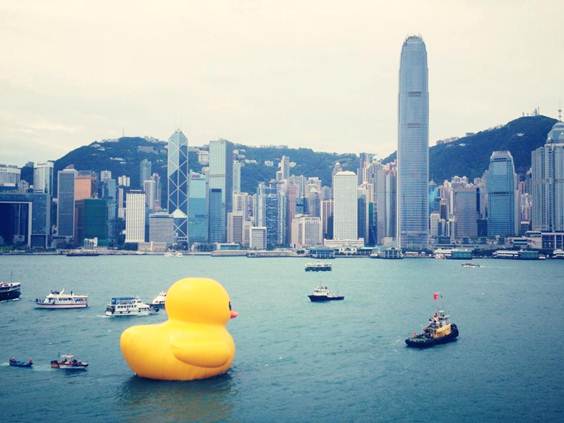 1368855103-3526308320 HK-Rubber Duck還我黃色小鴨來!!!!!