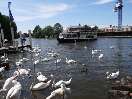 1374074493-2876877356 Windsor-溫莎小鎮閒晃 伊頓 泰晤士河與Long Walk(2013英法德三國四城快速通過之7)