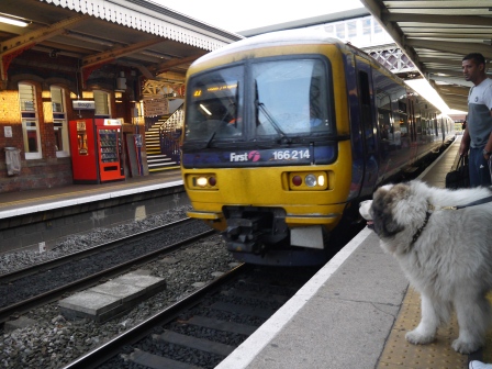 1374159702-1675650015 Windsor-溫莎搭火車到倫敦&帕丁頓車站(2013英法德三國四城快速通過之9)