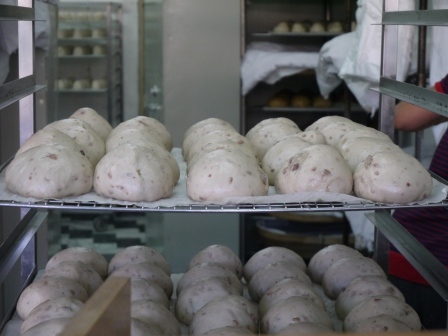 1377395272-415239111 新竹-正莊山東饅頭 頭好壯壯的大饅頭