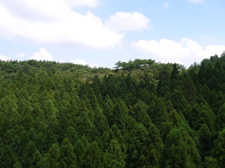1379521661-149315209 Rokkosan-六甲山空中纜車(索道) 天氣爽朗滿車涼意