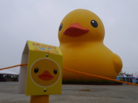 1383467200-3178018170 新屋-Rubber Duck黃色小鴨之我是旱鴨子
