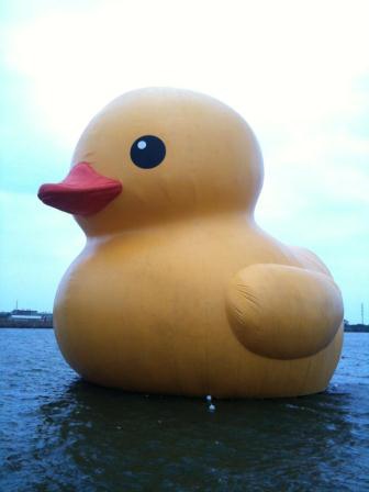 1383467208-3439765516 新屋-Rubber Duck黃色小鴨之我是旱鴨子