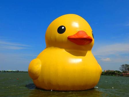 1383467209-30410232 新屋-Rubber Duck黃色小鴨之我是旱鴨子