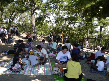 1383575988-244581240 Takaosan-高尾山 世界最多人登的山 米其林三星景點