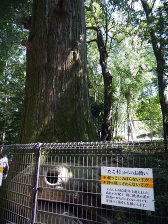 1383576620-3295592163 Takaosan-高尾山 世界最多人登的山 米其林三星景點