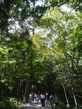 1383576639-58525355 Takaosan-高尾山 世界最多人登的山 米其林三星景點